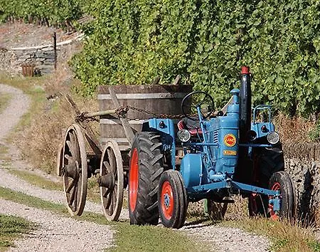 بيت ضيافة Gaestehaus Spross 4*