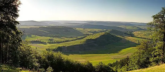 בית הארחה Gaestehaus Spross Veldenz